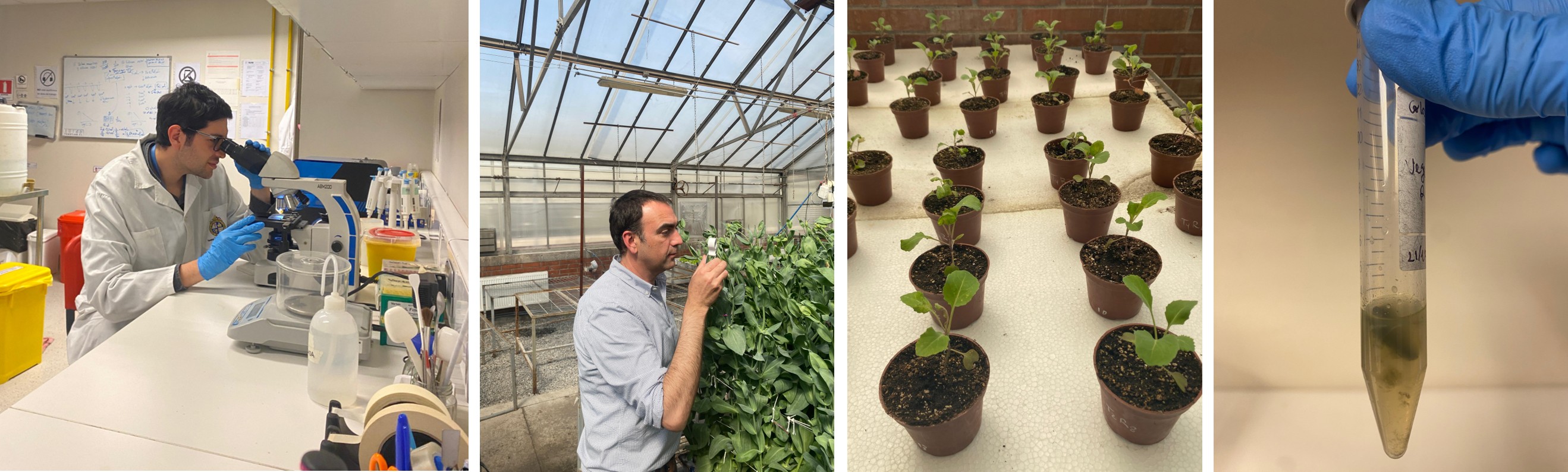 cereminia bienvenida doctorados 2025 jpg